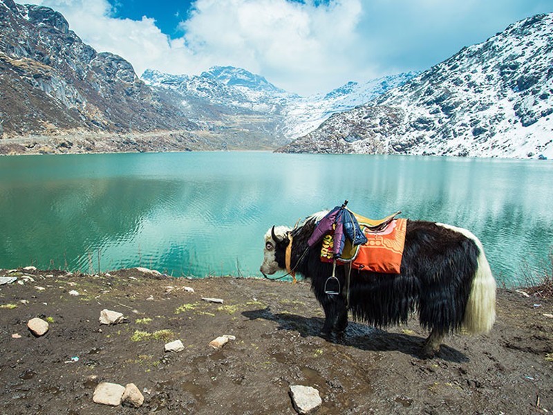 नॉर्थ ईस्ट