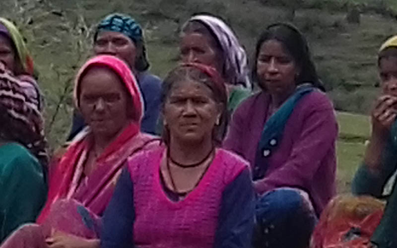 नोली सैण