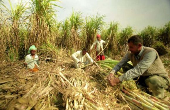 किसान जब अपने खेतों में काम करता है तो वह न हिन्दू होता है न मुसलमान