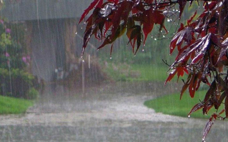 monsoon copy