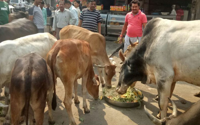 पर्यावरण
