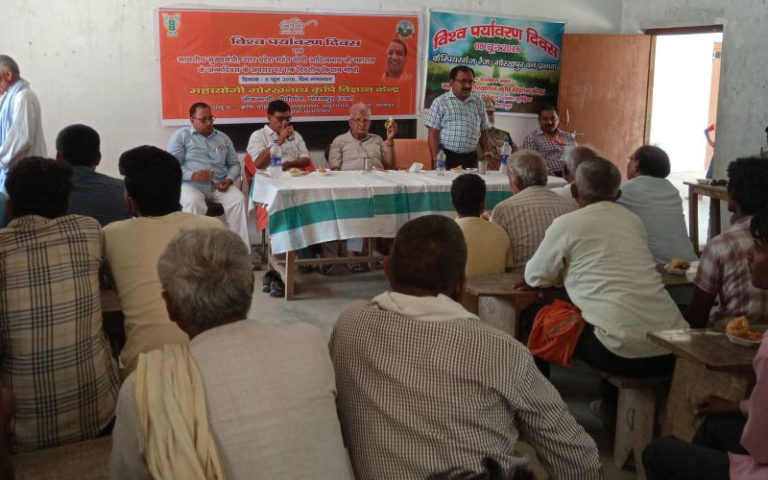 पर्यावरण