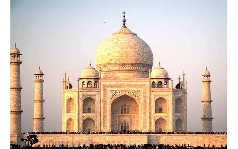 taj f