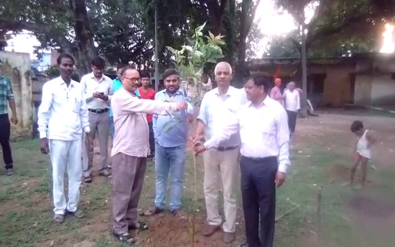 वृक्षारोपण