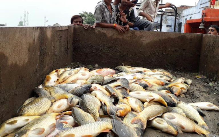 दधीचि कुण्ड