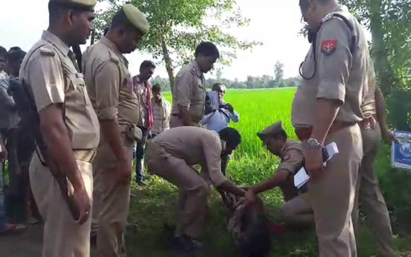 histrysheeter sitapur
