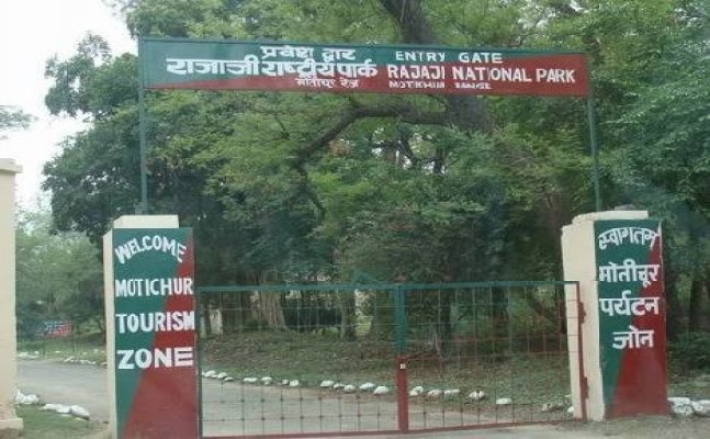 rajaji