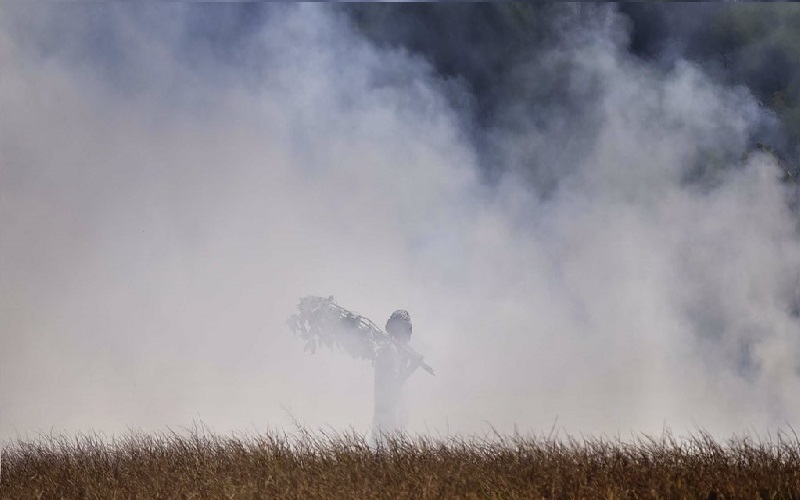 pollution
