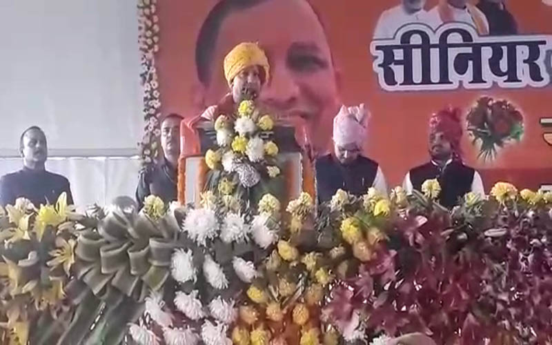 yogi
