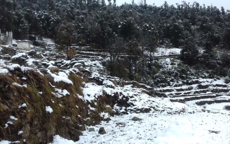 snow fall in chamoli