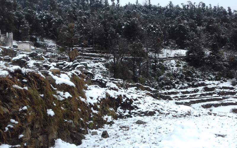 snow fall in chamoli