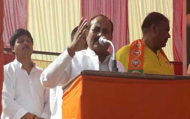 dara singh chauhan bjp