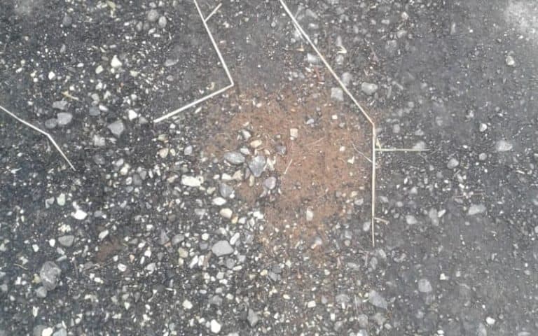 road chamoli