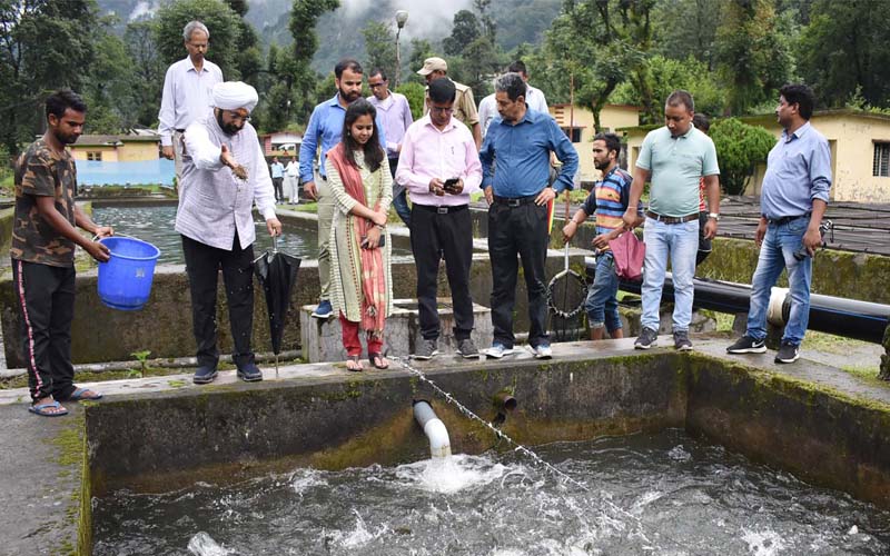 fish farming