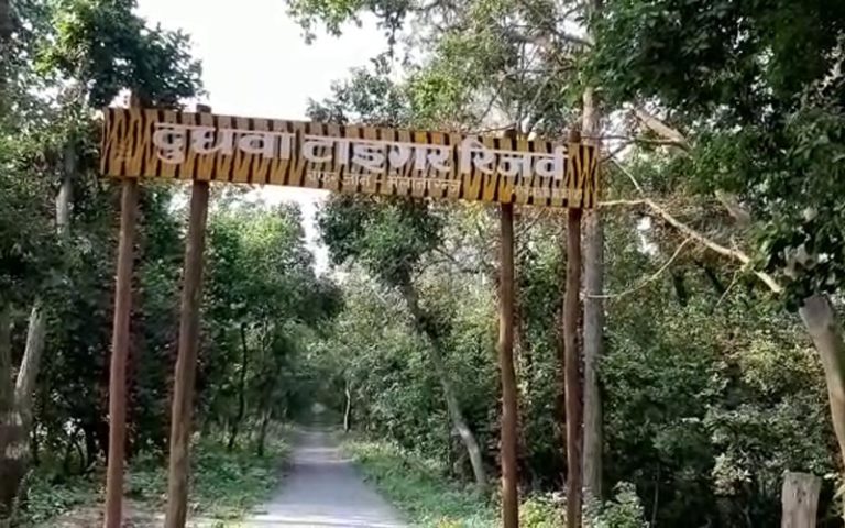 dudhawa tiger reserb