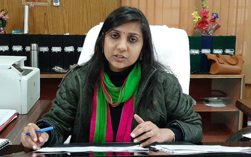 जिलाधिकारी स्वाति
