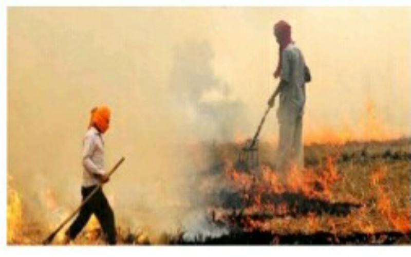 agri waste management