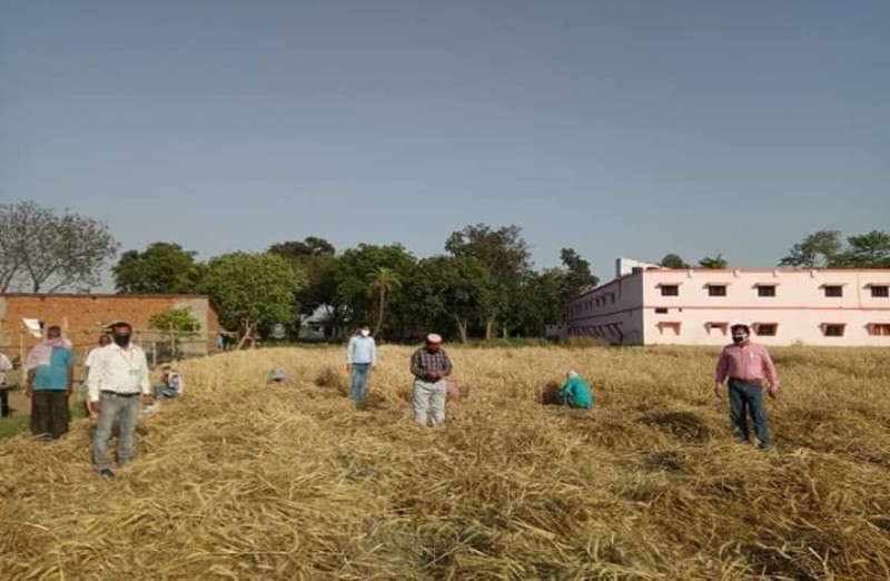 mahayogi gorakhnath krishi vigyan Kendra