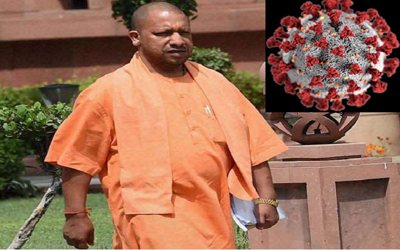 yogi corona