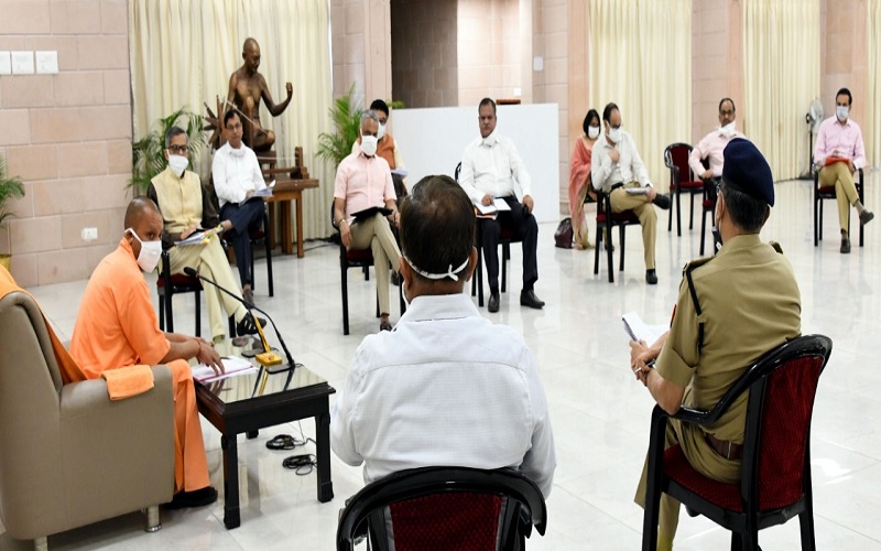 yogi