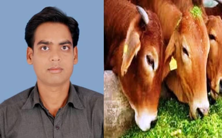 vivek singh