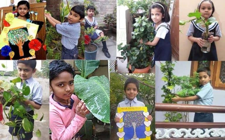 cms Lucknow environment day