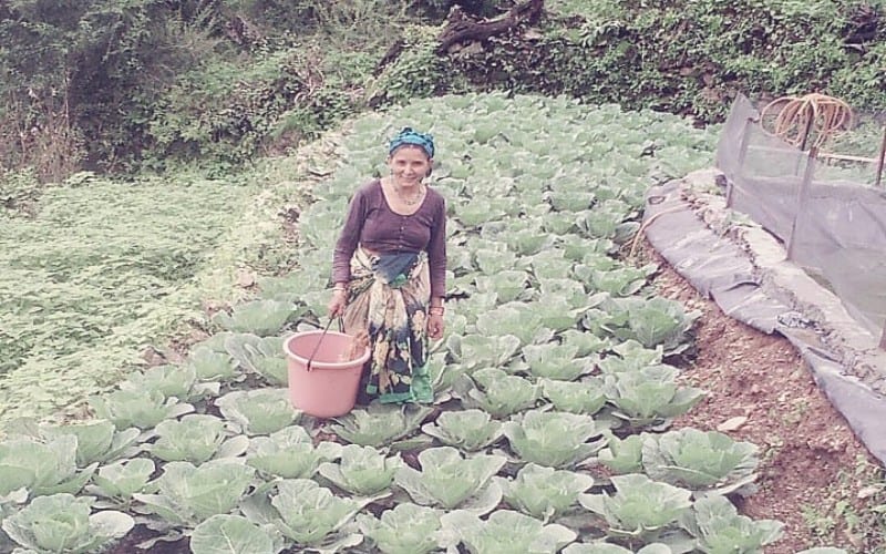women farmers in india