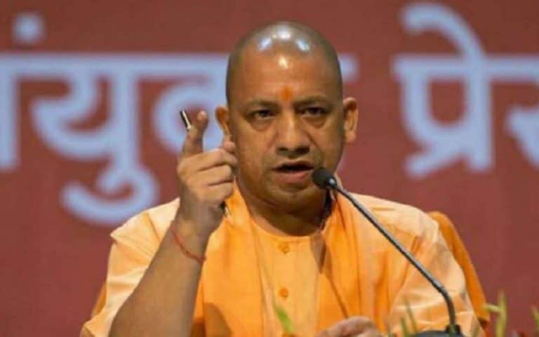 yogi