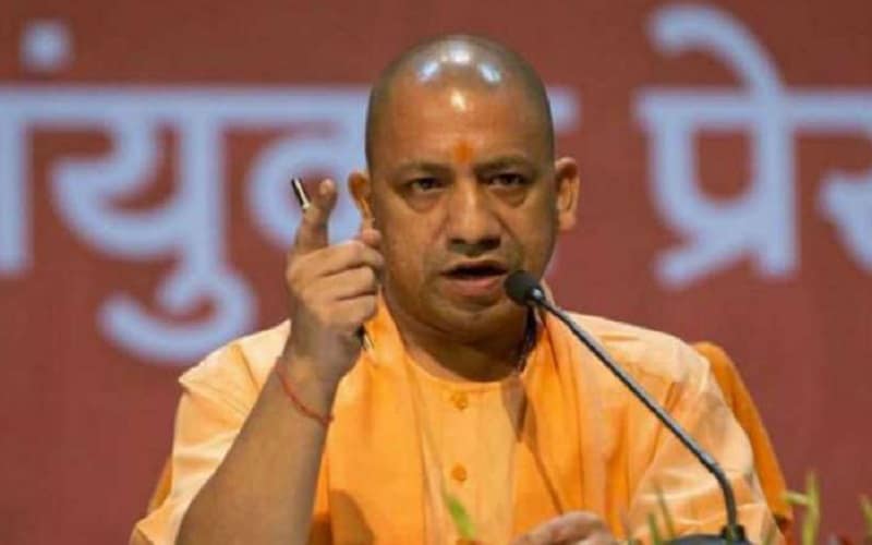 yogi