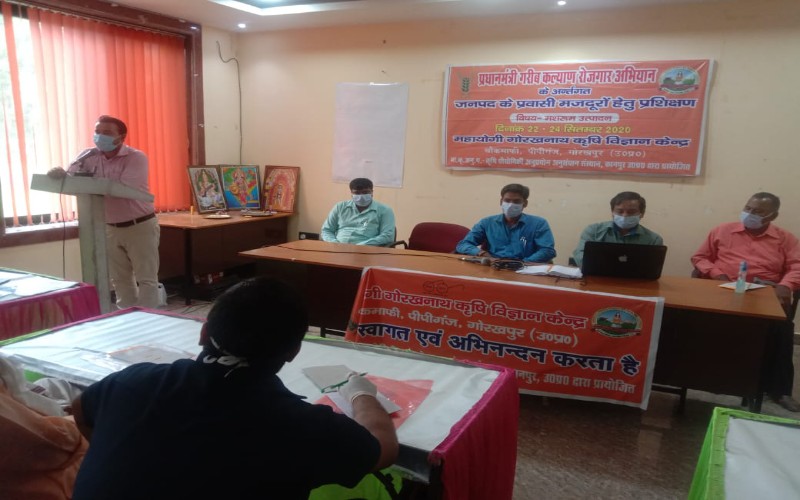 mushroom farming training