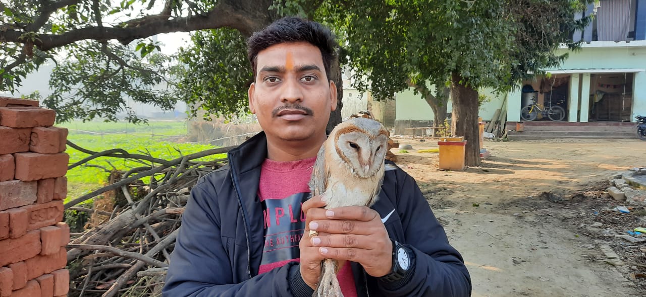 गोरखपुर : ग्राम जंगल दीर्घनसिंह में मिला दुर्लभ प्रजाति का सफेद उल्लू