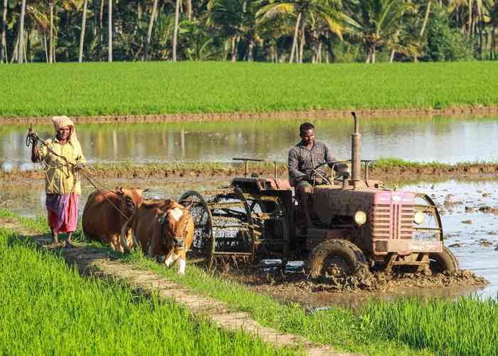 National-Farmers-day-2020-nationalextras.com_