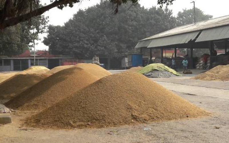 मक्का क्रय केन्द्र