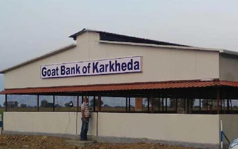 बकरी बैंक