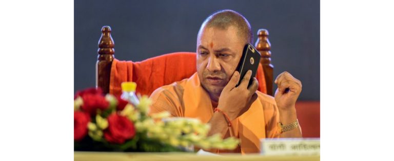 yogi-2_5cc56a232f7cb (2)