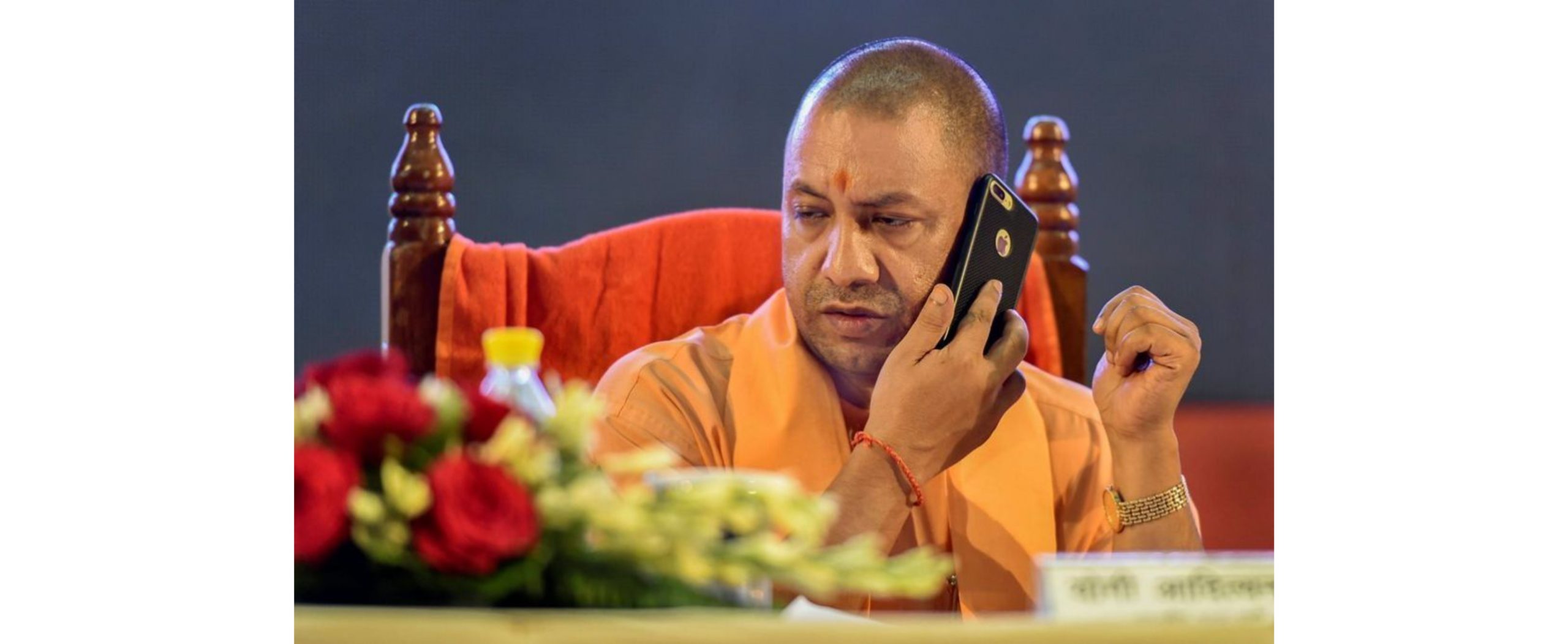 yogi-2_5cc56a232f7cb (2)