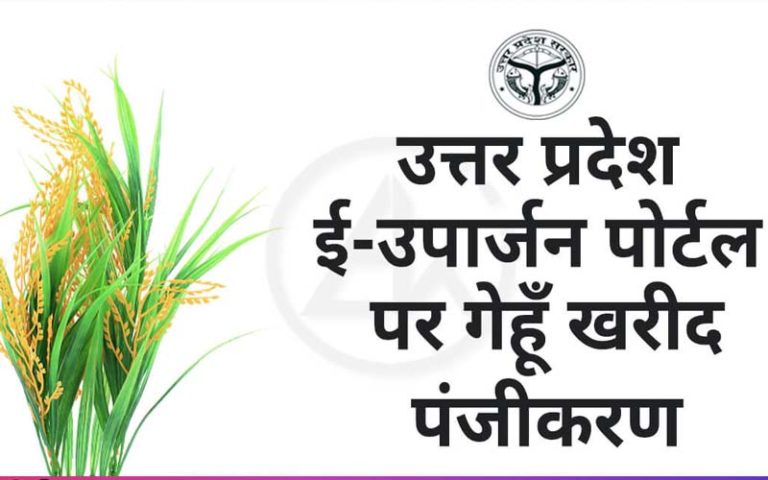 rabi crop