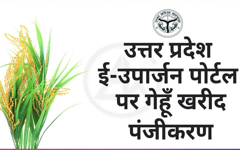 rabi crop