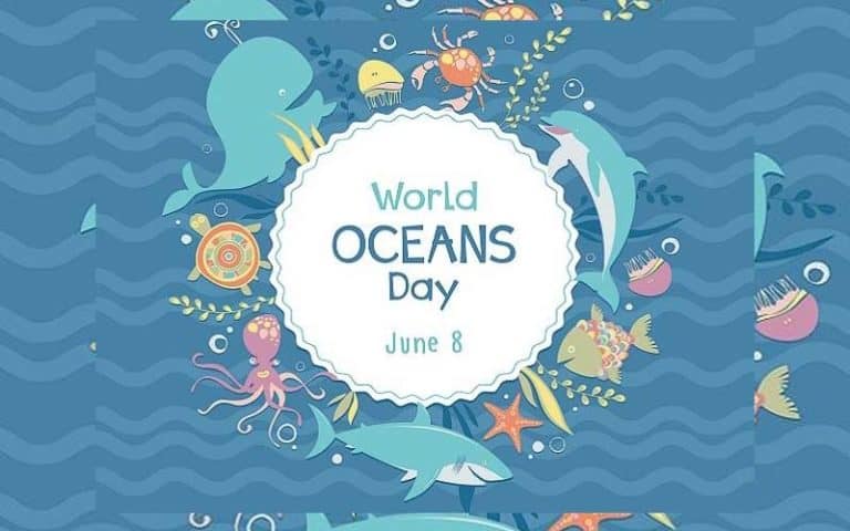 World Oceans Day - Wikipedia