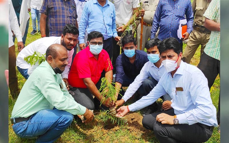 Paudharopan abhiyan