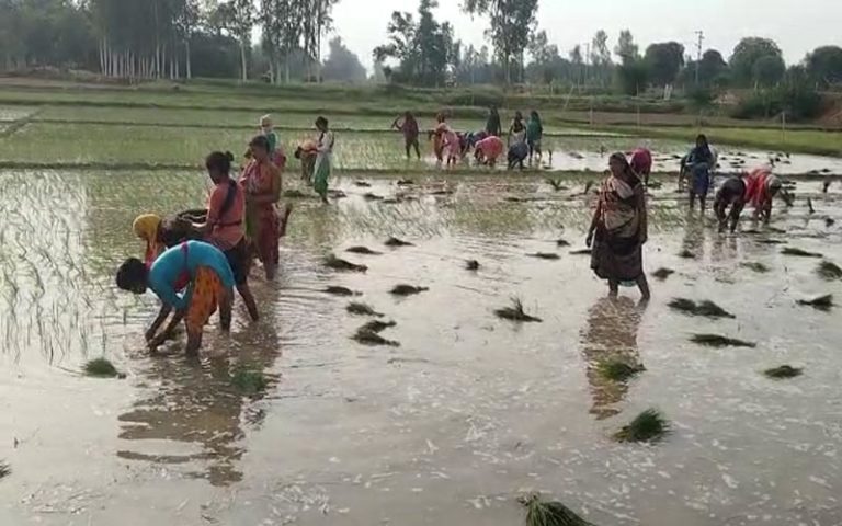 inflation and farmer