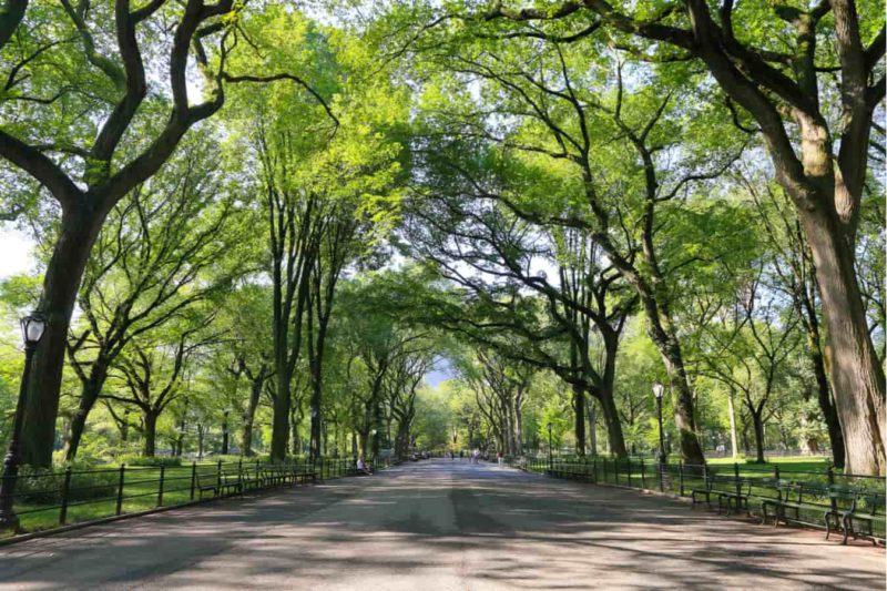 Famous-Parks-in-Delhi