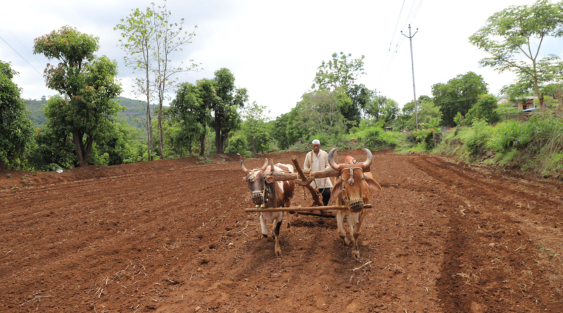KISAAN