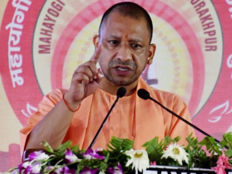 yogi makan