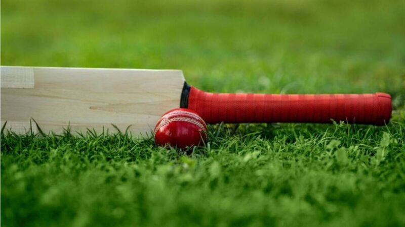 cricket