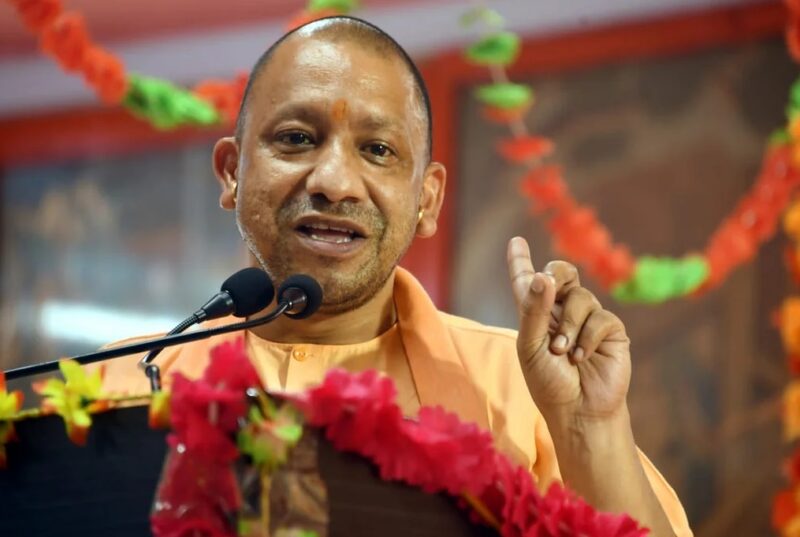 yogi 23