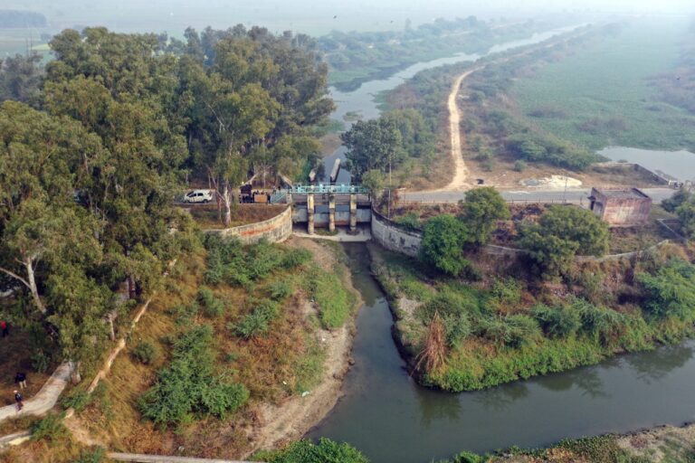 yamuna nadi