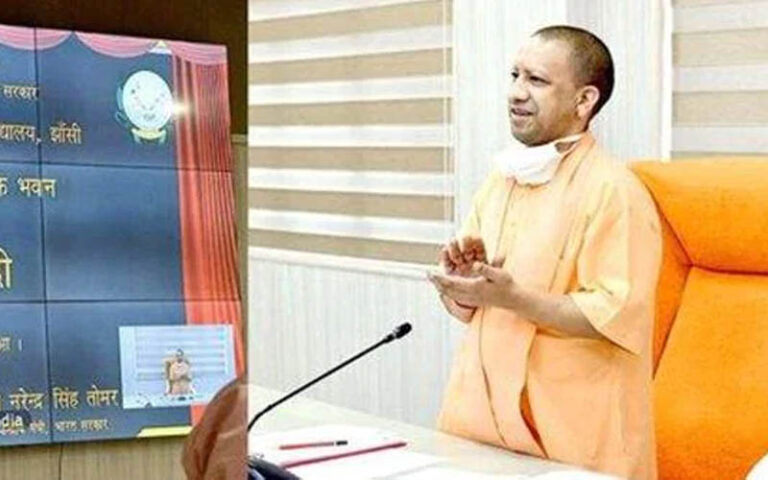 yogi
