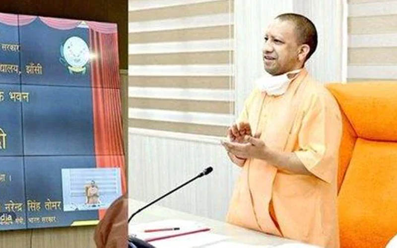 yogi