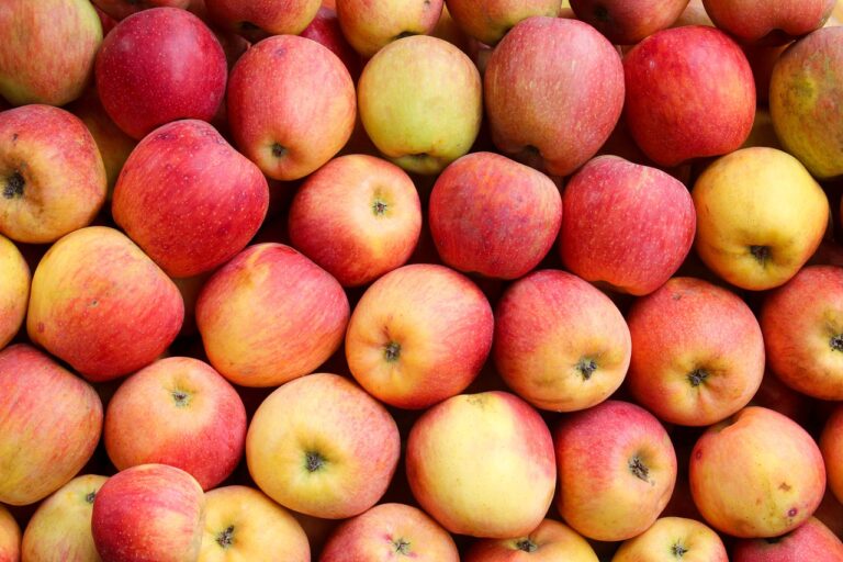 apples-7566512_1280